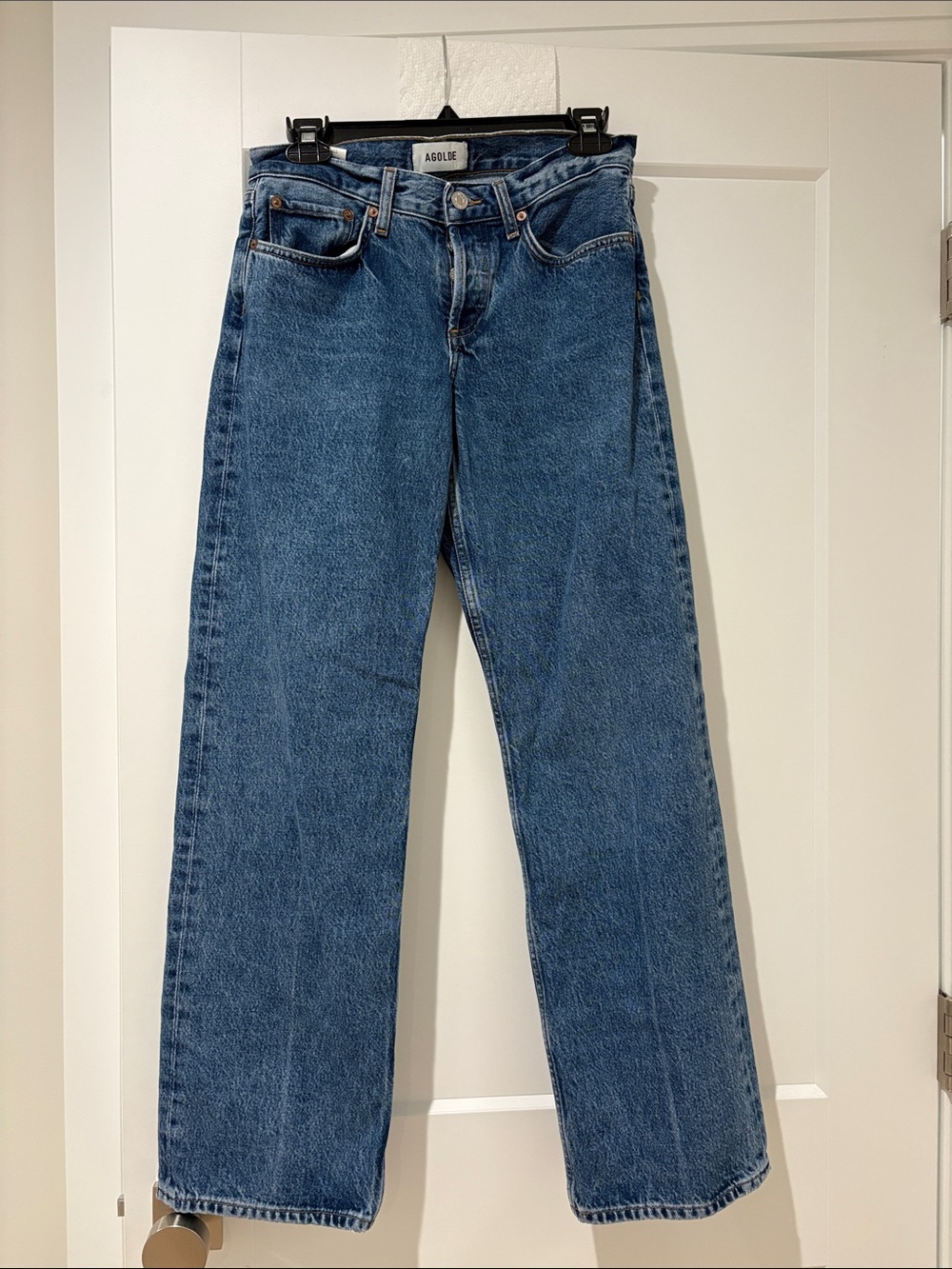 Agolde “low rise loose” jeans